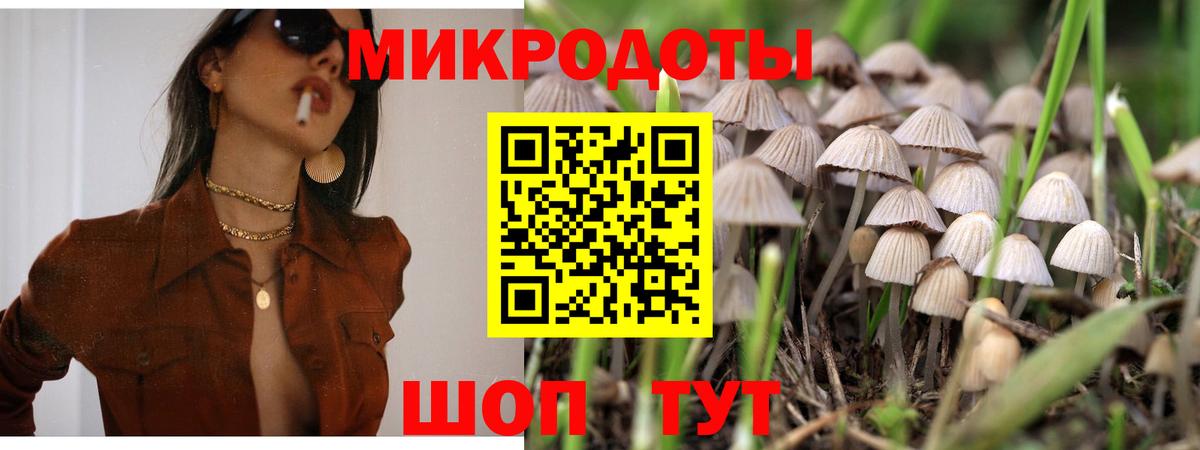 Псилоцибиновые грибы Psilocybine cubensis Новороссийск