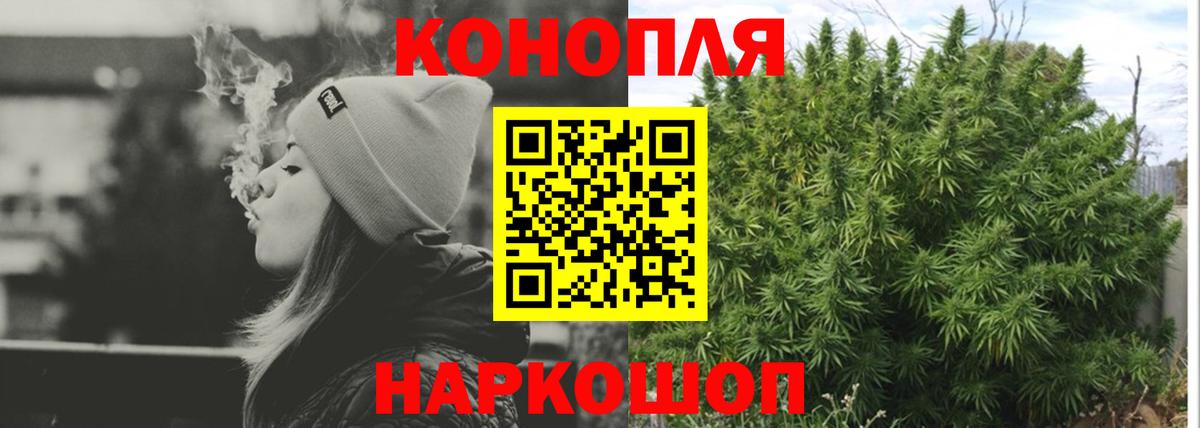 Бошки Шишки ГИДРОПОН Новороссийск